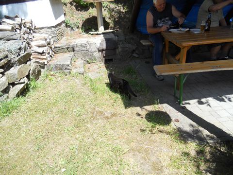 Foto 10